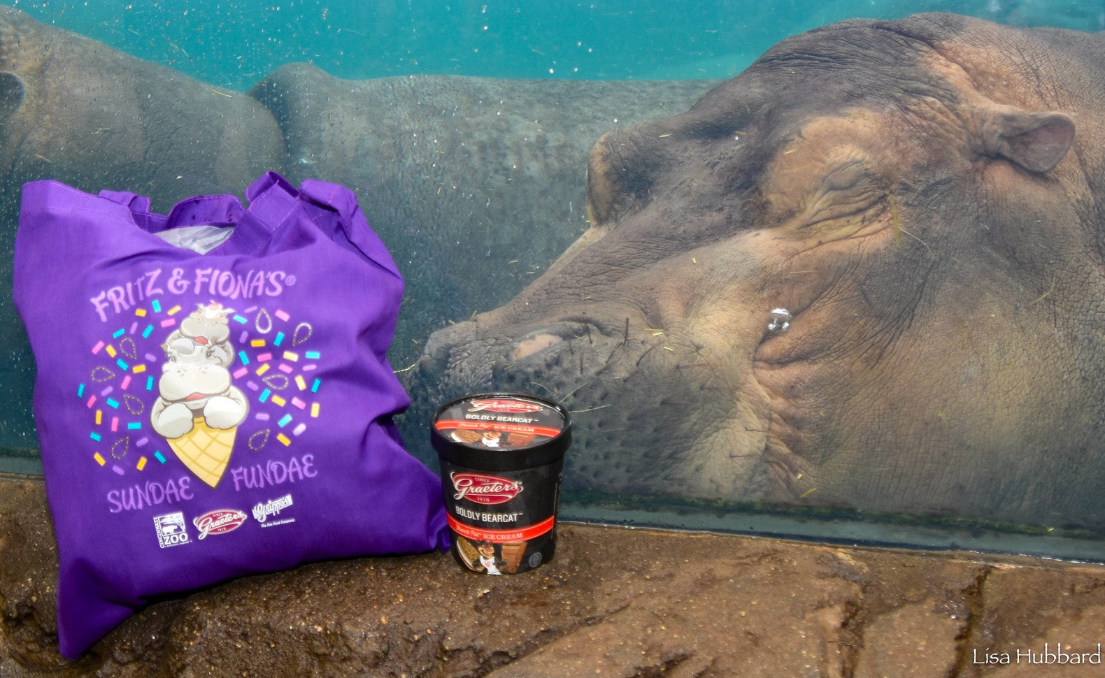 Fritz & Fiona's Sundae Fundae at the Cincinnati Zoo: A Delightful Summer Celebration