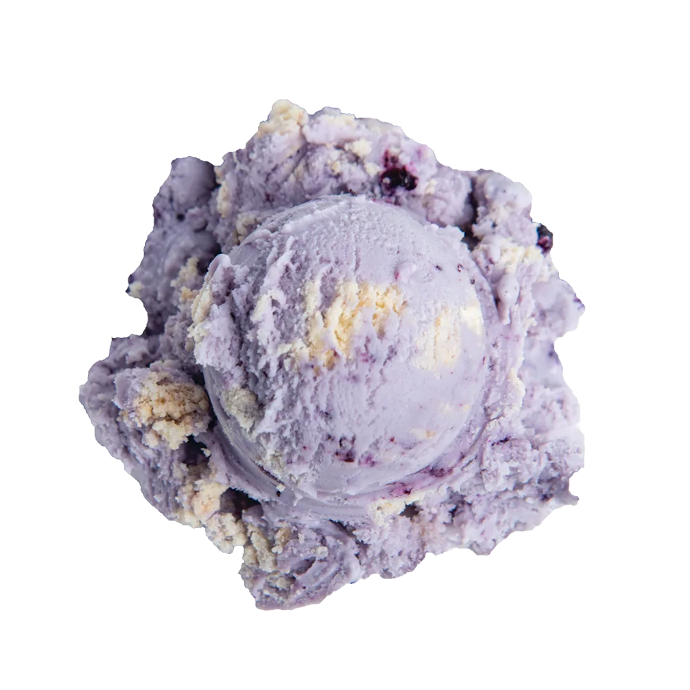Elena's Blueberry Pie ice cream: a single scoop of light purple ice cream with blueberries and pie crust throughout