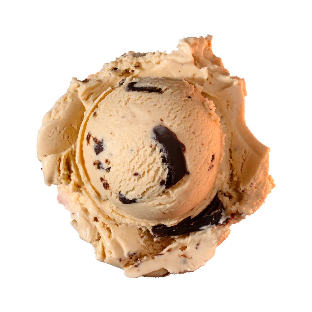 A scoop of Mocha Chip ice cream