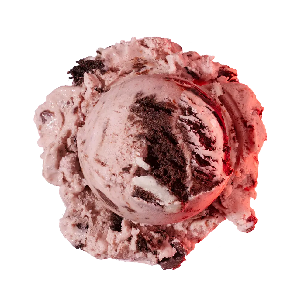 Graeter's Boldly Bearcat Scoop