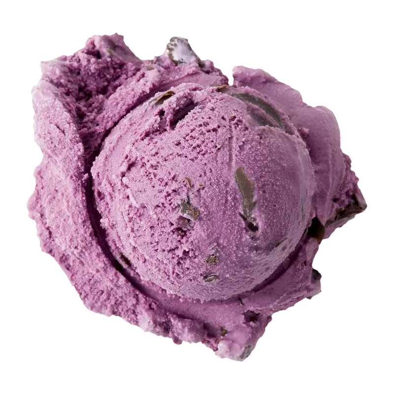 Graeter's Black Raspberry Chocolate Chip Scoop