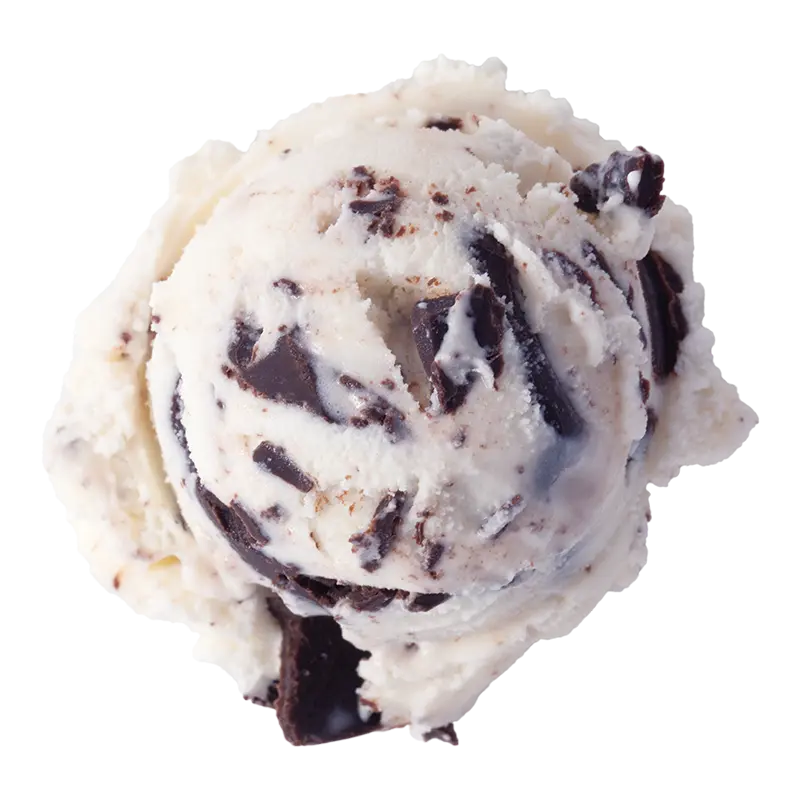 Graeter's Chocolate Chip Ice Cream Scoop