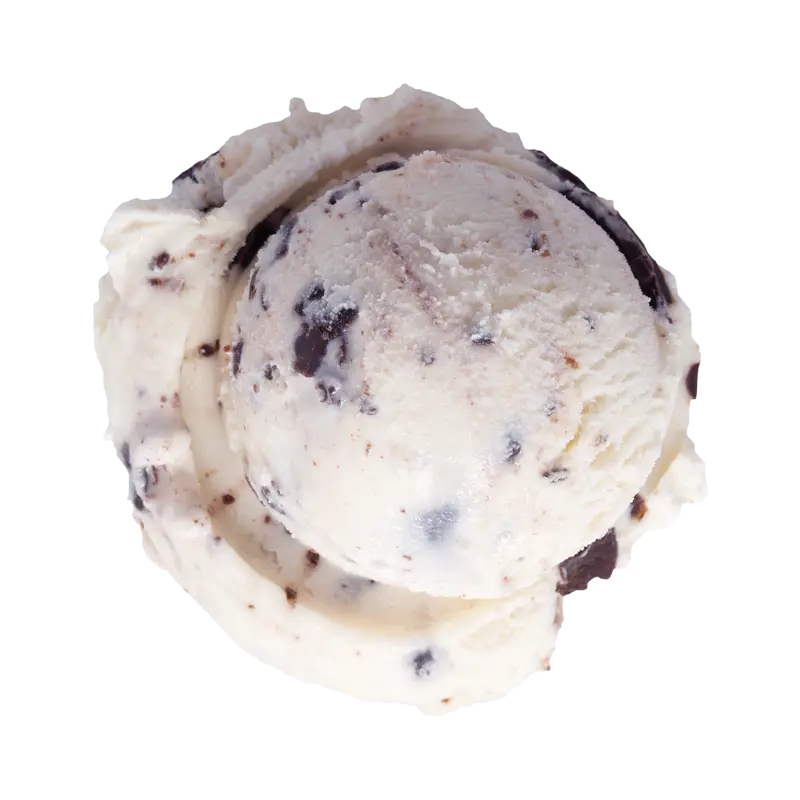 Graeter's Coconut Chocolate Chip Scoop