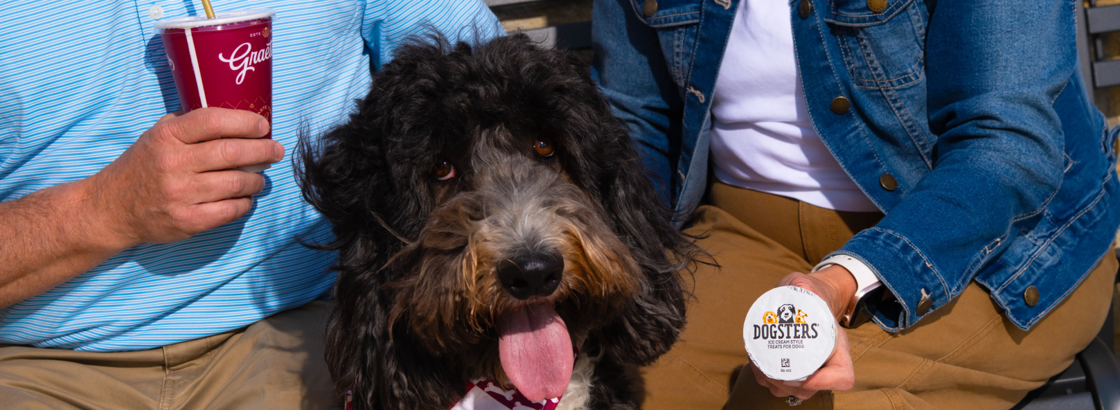 A cute dog enjoying Graeters' Dog's Night Out.