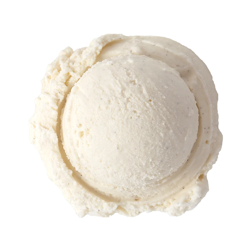 Graeter's Madagascar Vanilla Bean ice cream scoop