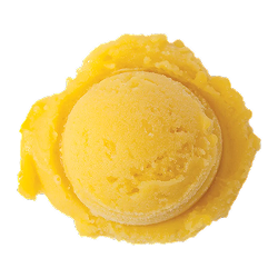 mango sorbet: a scoop of bright yellow sorbet