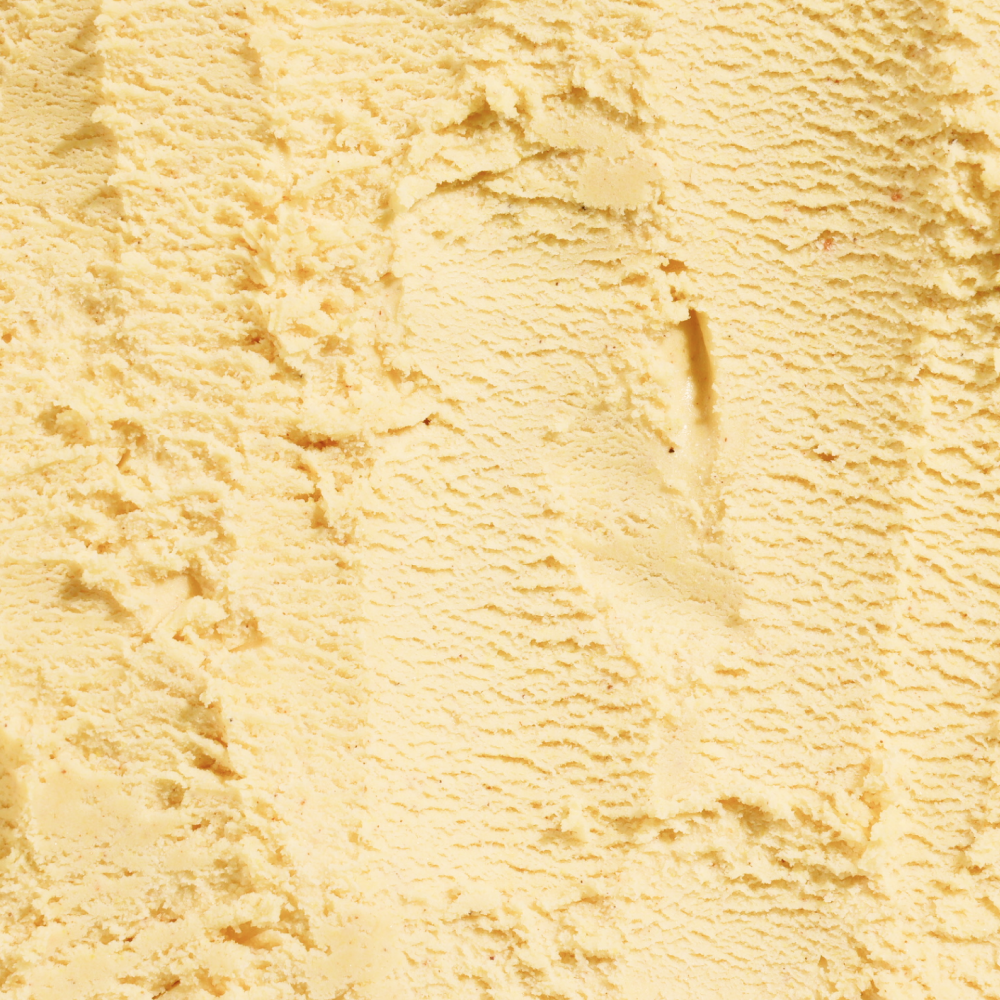 A close up of Harvest Pumpkin ice cream