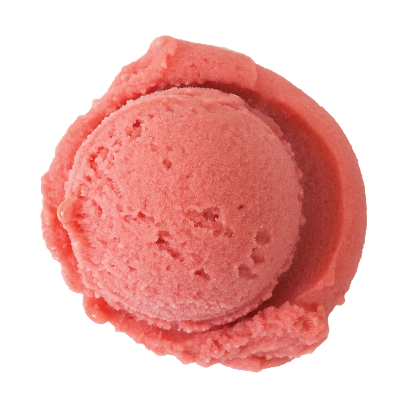 raspberry sorbet: a single scoop of bright pink sorbet
