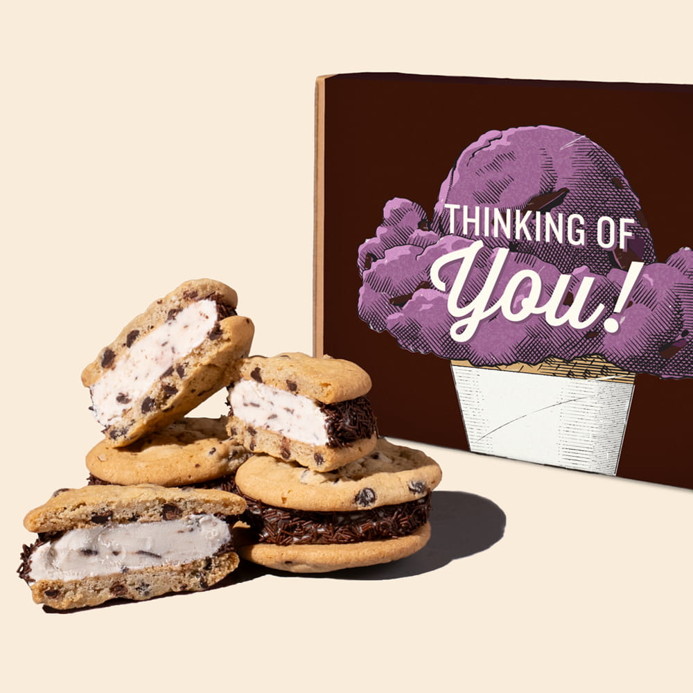 Thinking Of You Vanilla Chocolate Chip Wheelies