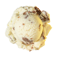 Banana Chocolate Chip ice cream