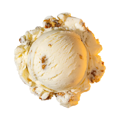 Butter Pecan ice cream
