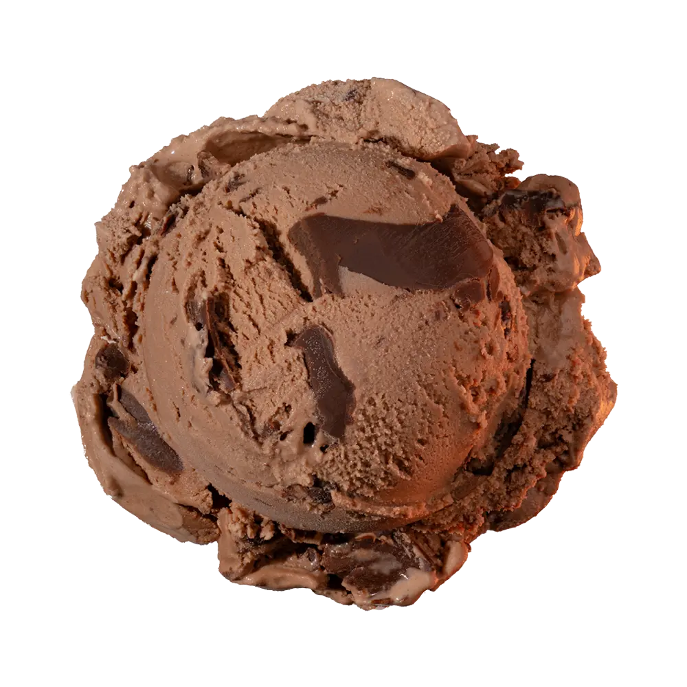 Double Chocolate Chip ice cream scoop