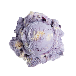Elena's Blueberry Pie ice cream