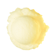 Lemon Sorbet - Regina Graeter's sorbets started out simple, with a blend of fruit juice, sugar, and water, but t...