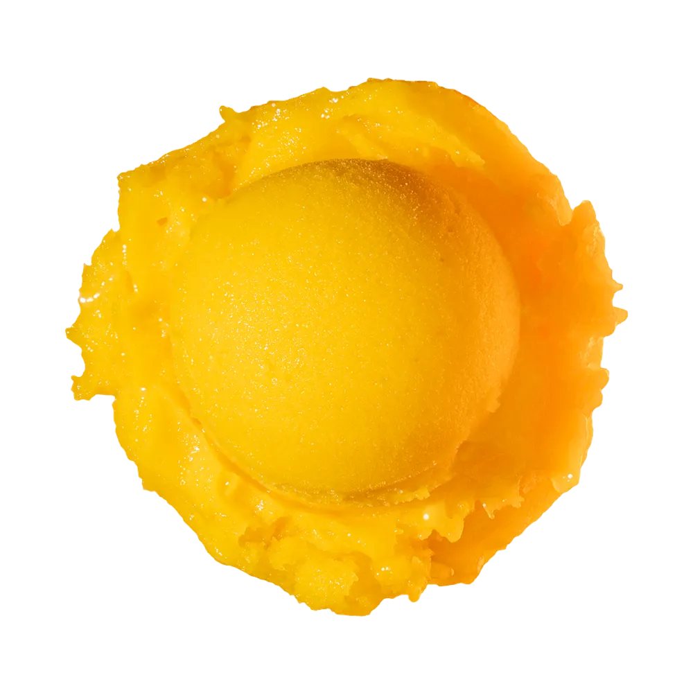 Mango Sorbet