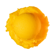 Mango Sorbet - Sweet mango from the tropics makes for a deliciously smooth and fruity treat.