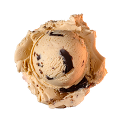 Mocha Chip ice cream