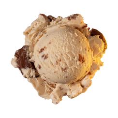 Peanut Butter Chip ice cream