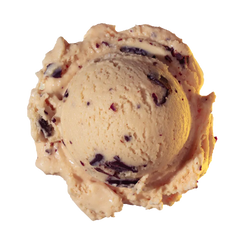 Salted Caramel Chip ice cream