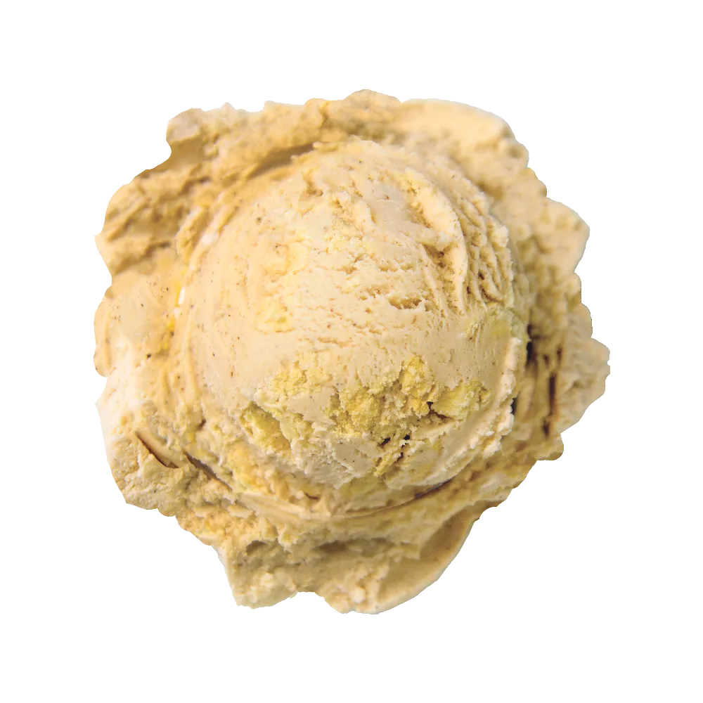 Graeter's Skyline Spice ice cream