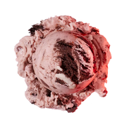 Boldly Bearcat - A creamy mascarpone ice cream, filled with Oreo cookies and our signature chocolate chips.