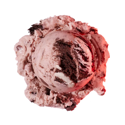 Boldly Bearcat ice cream