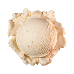 Madagascar Vanilla Bean ice cream