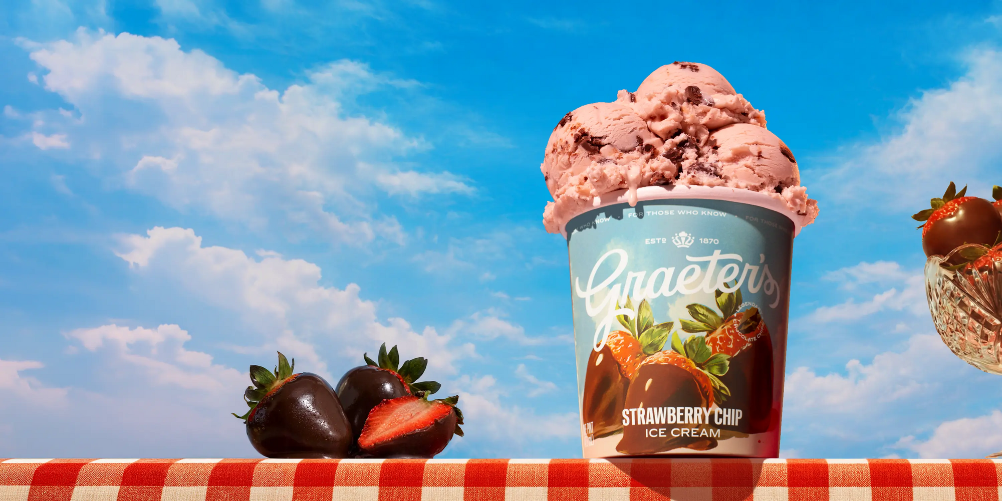 Strawberry Chip ice cream