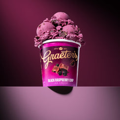 Black Raspberry Chip ice cream