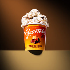 Peanut Butter Chip ice cream