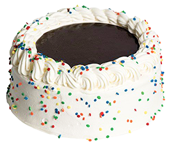 celebration cake: a white ice cream cake with round rainbow sprinkles and dark brown chocolate in the center
