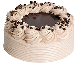 chocolate fantasy cake: an ice cream cake with brown frosting a chocolate center and chocolate shavings on top