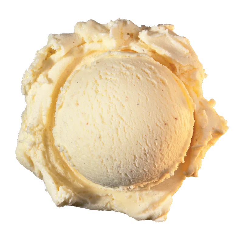 Spirited Eggnog scoop