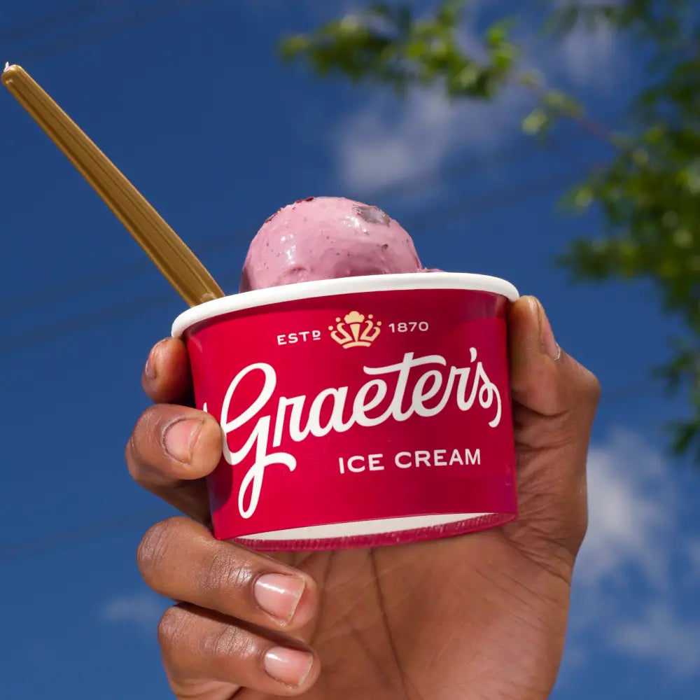 Black Raspberry Chip Scoop