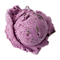 black raspberry chocolate chip ice cream: a single scoop of dark purple ice cream with chocolate chunks
