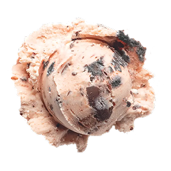 boldly bearcat: a single scoop of light pink ice cream with cookies and chocolate chunks throughout
