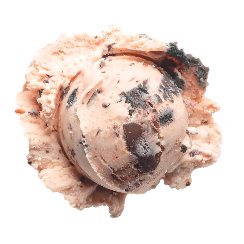 Graeter's Boldly Bearcat Ice Cream