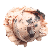 Boldly Bearcat - A creamy mascarpone ice cream, filled with Oreo cookies and our signature chocolate chips.