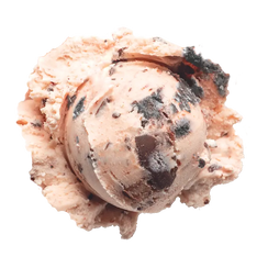 Boldly Bearcat ice cream