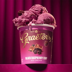Black Raspberry Chip ice cream