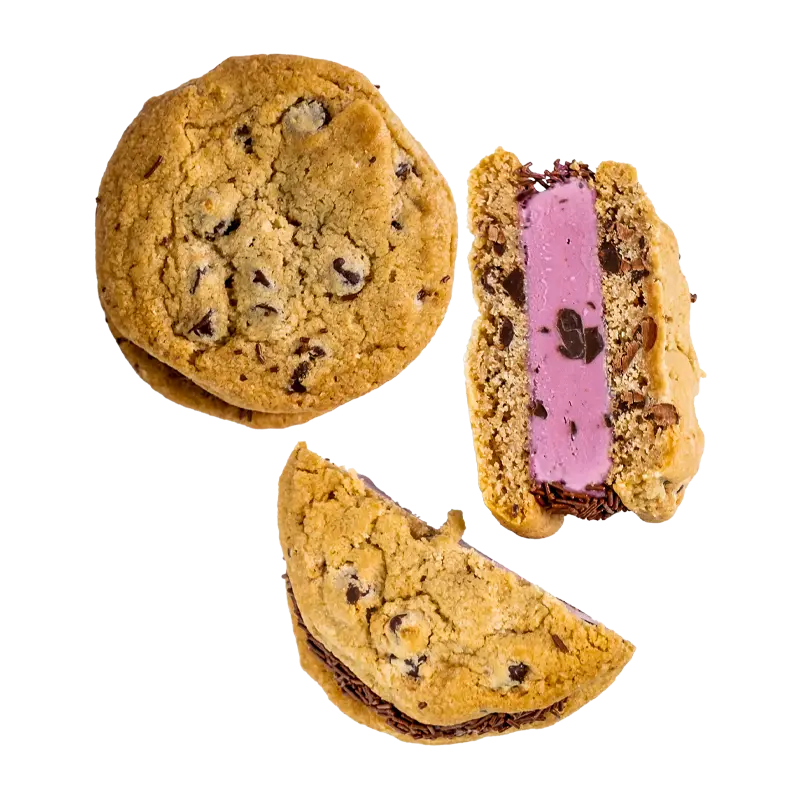 black raspberry chocolate chip wheelies