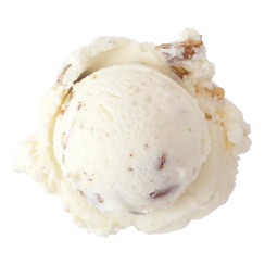 Butter Pecan ice cream