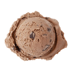 double chocolate chip ice cream: a single scoop of dark brown ice cream with chocolate chunks