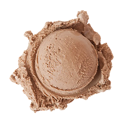 dutch milk chocolate ice cream: a single scoop of light brown ice cream