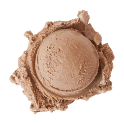 Dutch Milk Chocolate ice cream