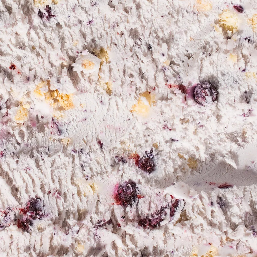 Graeter's Elena's Blueberry Pie ice cream
