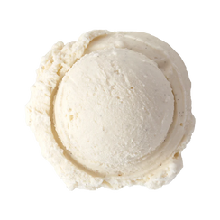 Madagascar Vanilla Bean ice cream