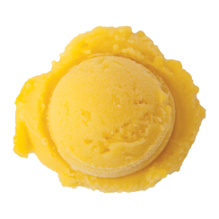 Mango Sorbet ice cream