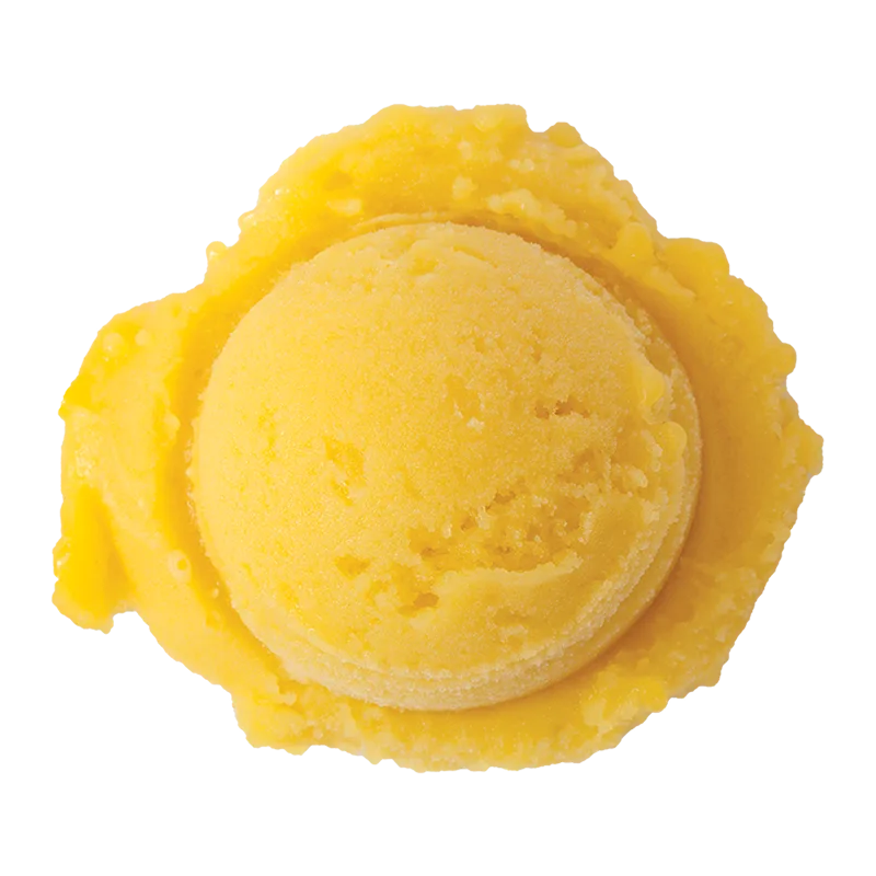 Graeter's Mango Sorbet: a scoop of bright yellow sorbet