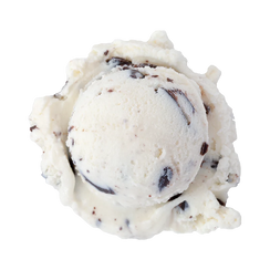 Mint Chocolate Chip ice cream